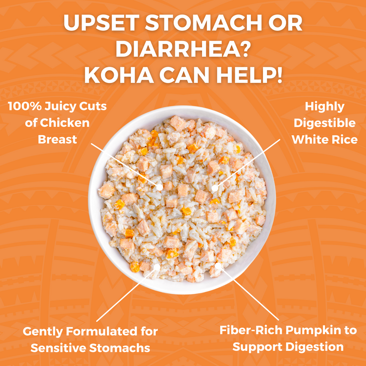 KOHA Bland Diet - Chicken + White Rice, 12.5oz