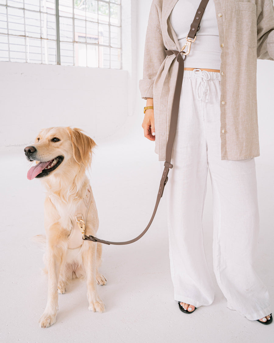Dexypaws - Hands Free Waterproof Dog Leash - 6 Feet - Espresso