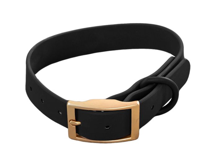 Dexypaws - Waterproof Dog Collar - Black  - Small