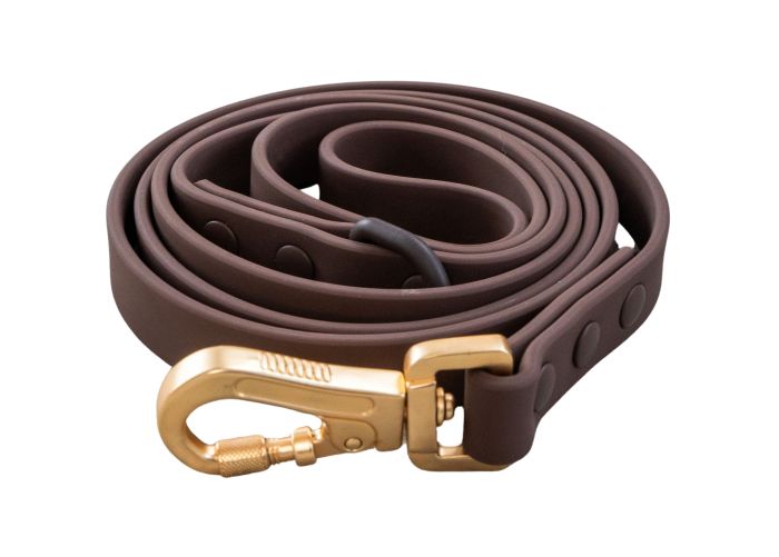 DexyPaws Waterproof Dog Leash, Espresso