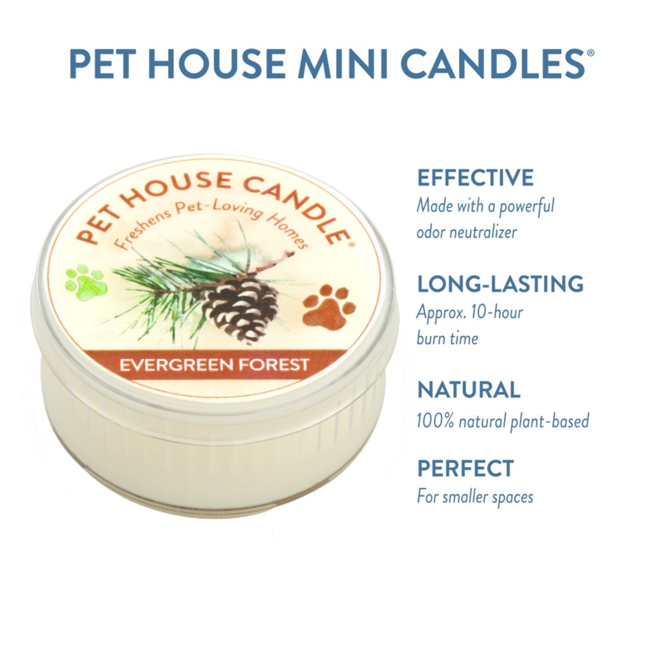 Pet House - Evergreen Forest Mini Candle, 1.5-oz