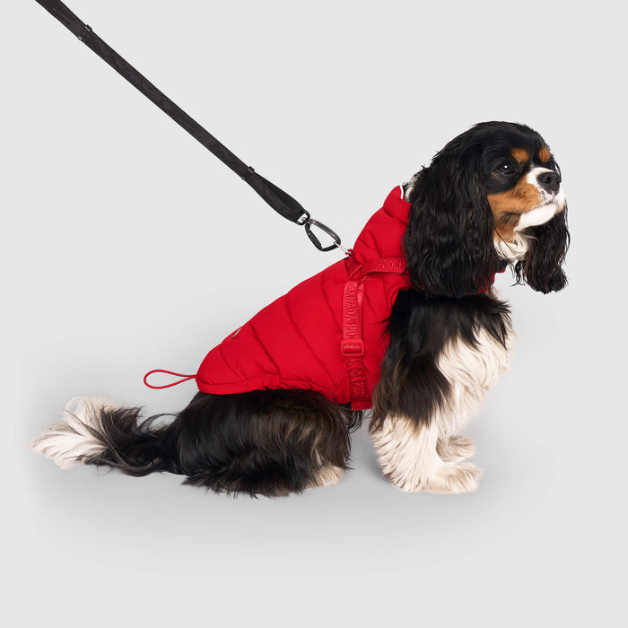 Canada Pooch Harness Puffer Dog Jacket, Red, Size 10