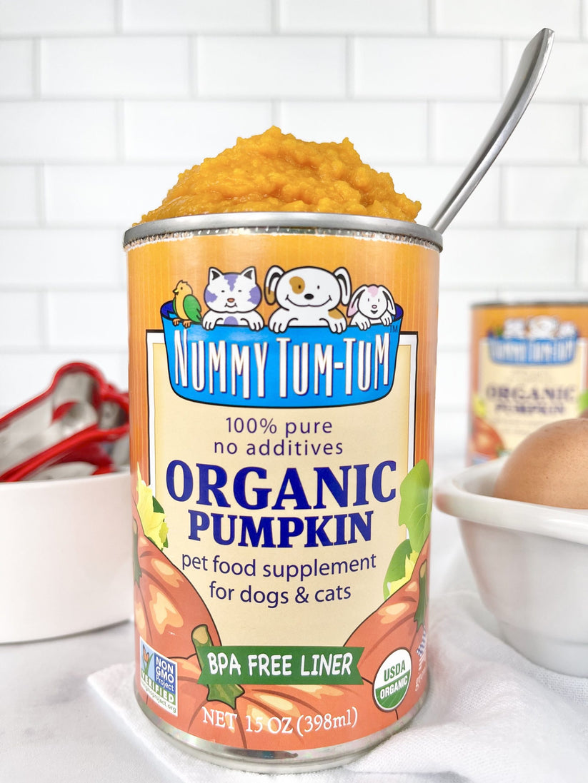 Nummy Tum-Tum Organic Pumpkin Dog and Cat Food Supplement, 15 oz can