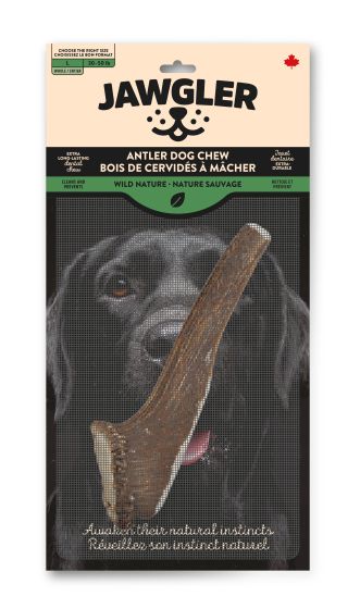 Jawgler Antler Dog Chew, Whole Wild Nature, Large