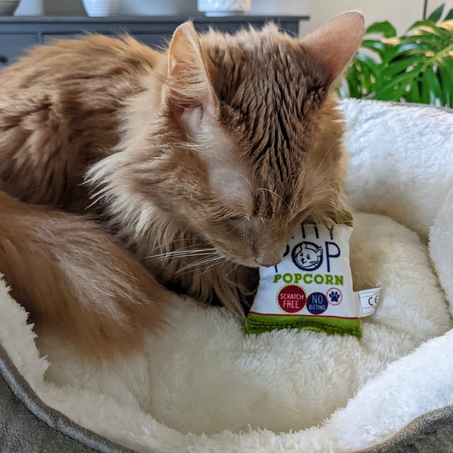 Huxley & Kent - Kitty Pop with Catnip Toy