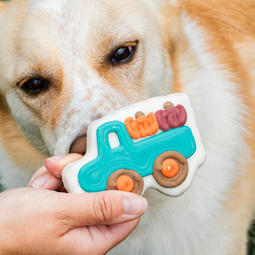 Bosco and Roxy's Gourds on the Go Fall Dog Cookie