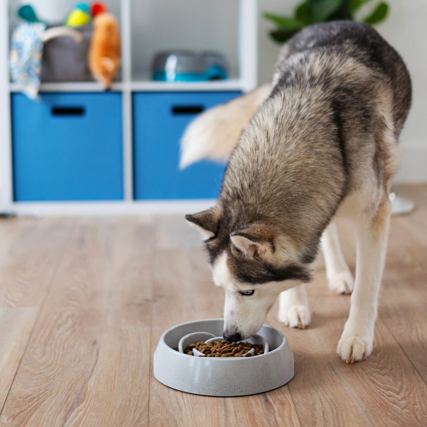 Messy Mutts Interactive Slow Feeder, 3 Cup, Speckled Light Grey