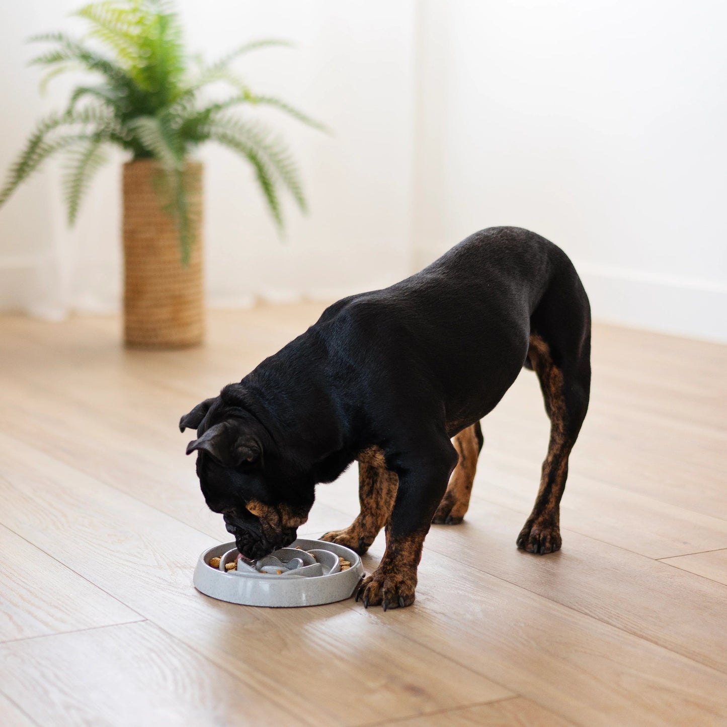 Messy Mutts Interactive Slow Feeder, 1.75 Cup, Speckled Light Grey
