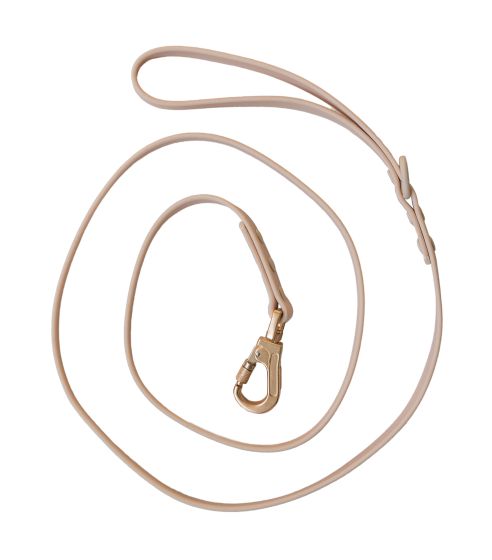 Dexypaws - Waterproof Dog Leash - Nude - 6 Feet