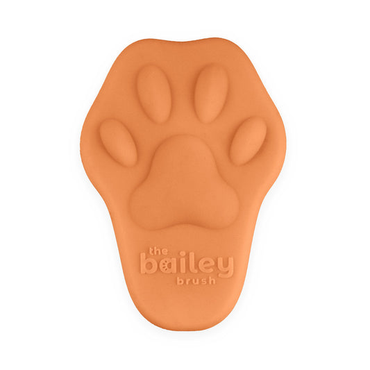 Bailey Brush - Pawpaya Orange