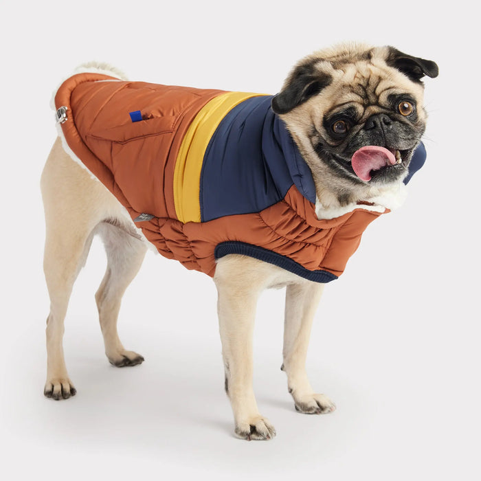 GF Pet - Retro Puffer Hazel - Large - Dog