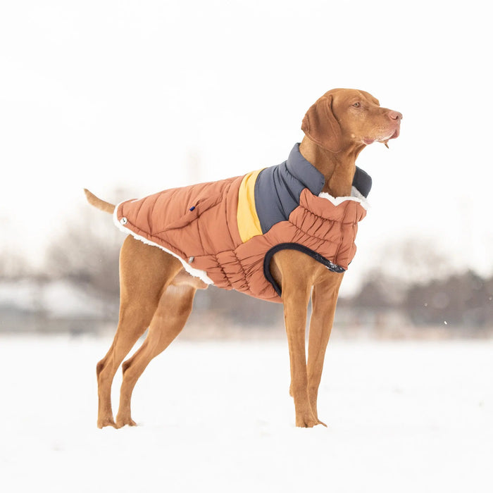 GF Pet Retro Dog Puffer, Hazel, XL
