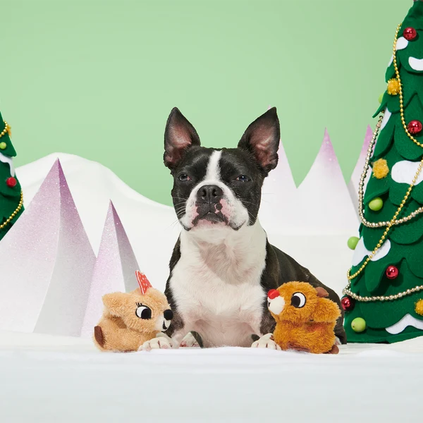 BARK Rudolph & Clarice Plush Multi-Part Dog Toy