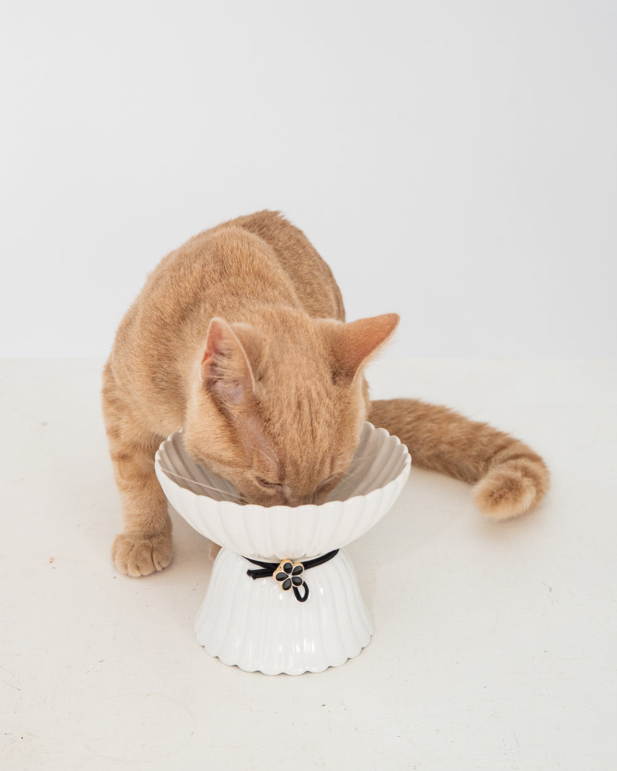Dexypaws Raised Ceramic Cat Bowl, White With Black Flower, 8.7-oz