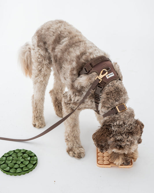 Dexypaws - No-Pull Dog Harness - Espresso - Medium