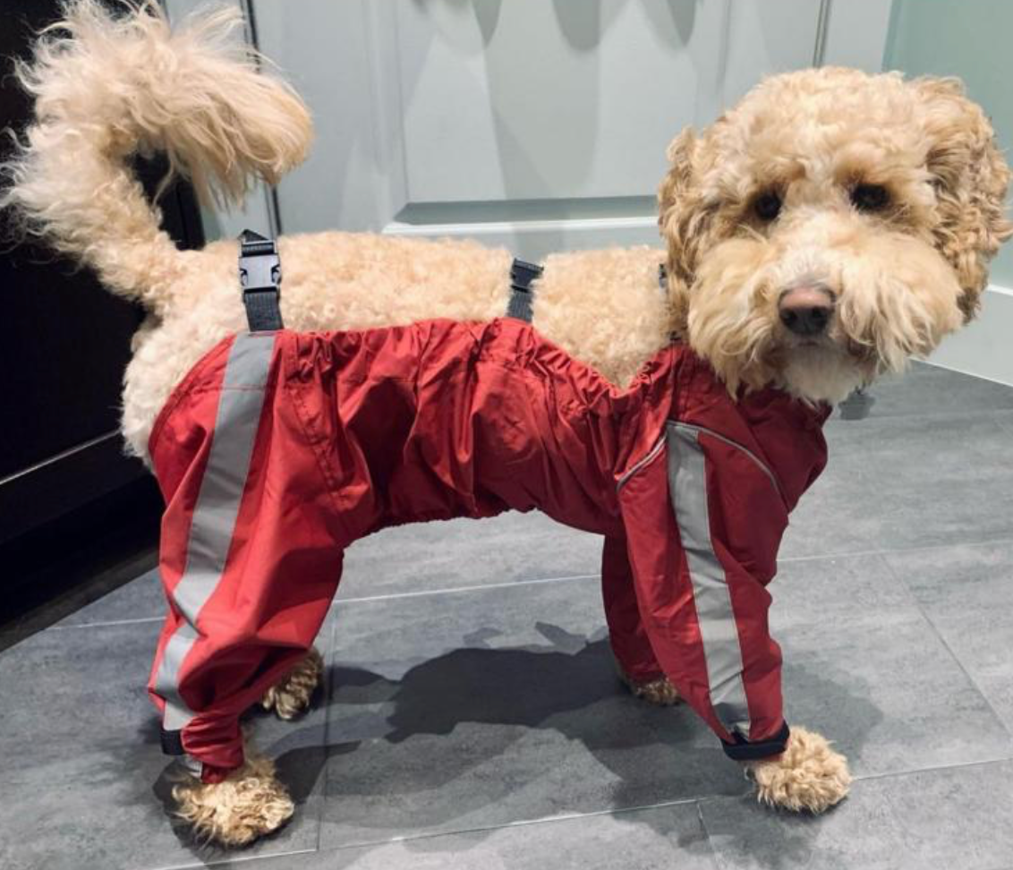 foufouBRANDS™ Bodyguard - Red - Small