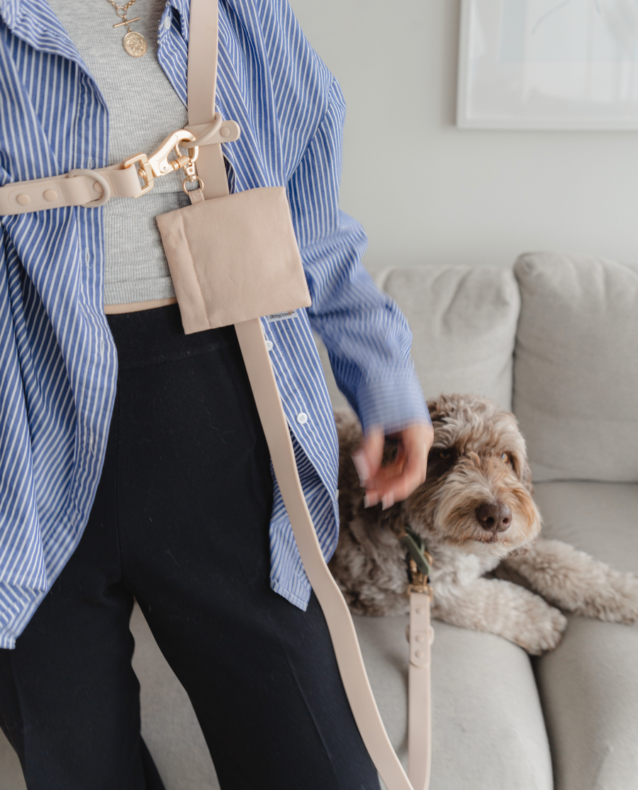 Dexypaws - Hands Free Waterproof Dog Leash - 6 Feet - Nude