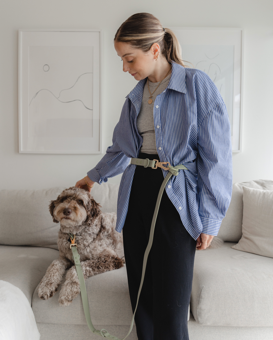 Dexypaws - Hands Free Waterproof Dog Leash - 6 Feet - Sage Green