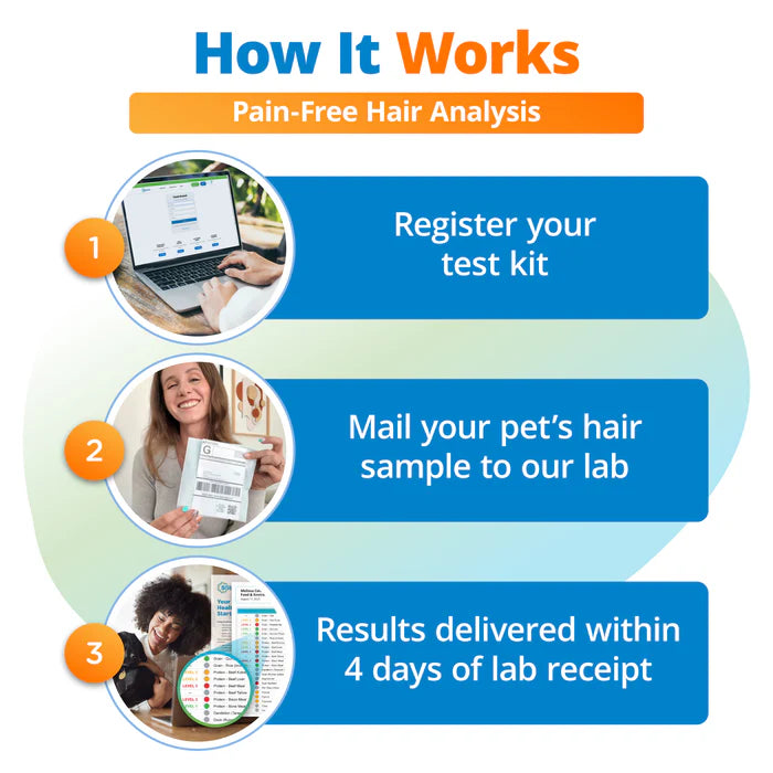 5Strands Pet Food Intolerance & Environmental Sensitivity Test