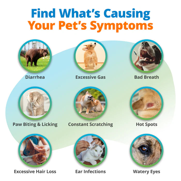 5Strands Pet Food Intolerance & Environmental Sensitivity Test