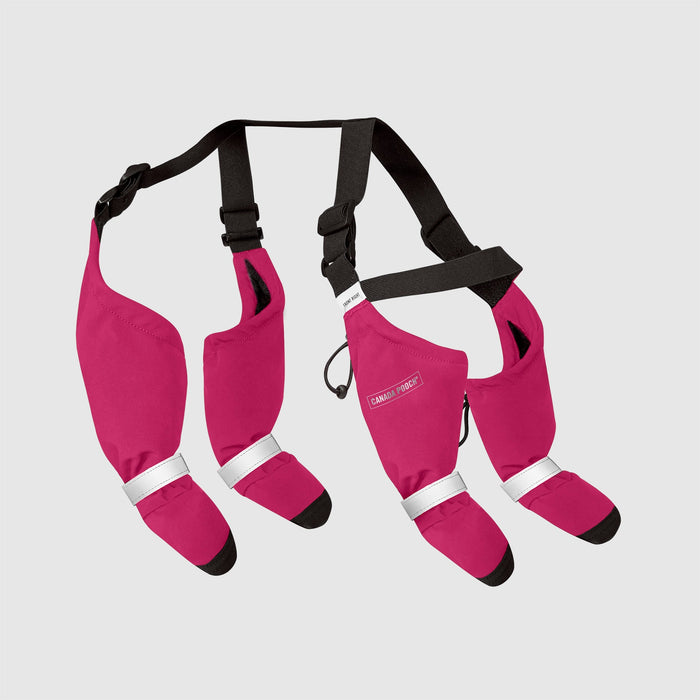 Canada Pooch Suspender Dog Boots, Pink, Size 2 Short
