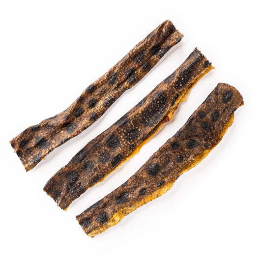 This & That® Sydney's Harbour Atlantic Wolffish Individual Sticks