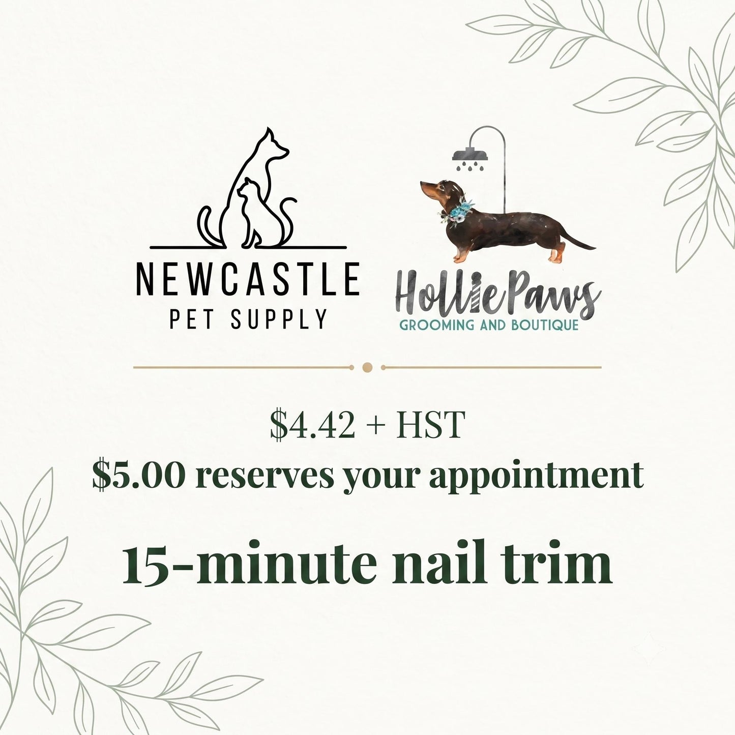 Dog nail trim booking with Hollie Paws at Newcastle Pet Supply