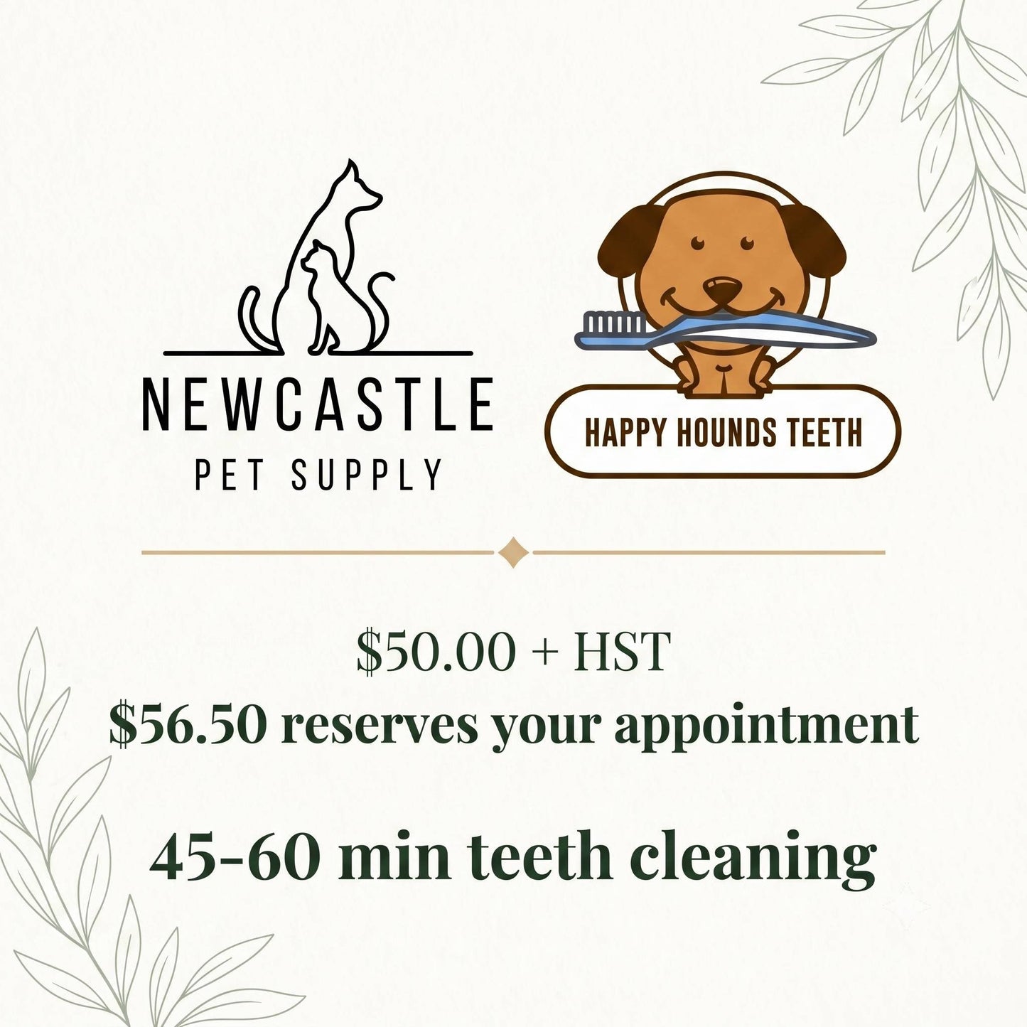 Happy Hounds Teeth Cleaning at Newcastle Pet Supply, dog and cat cosmetic teeth cleaning appointment September 20 2026 at 1:00 PM, serving Bowmanville and Clarington