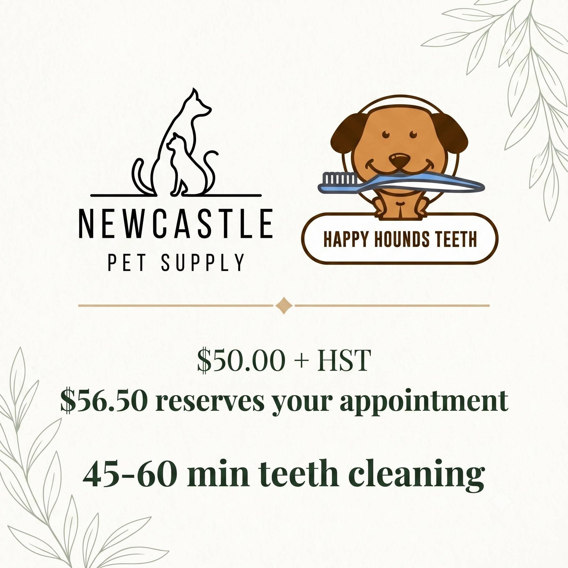 Happy Hounds Teeth Cleaning at Newcastle Pet Supply, dog and cat cosmetic teeth cleaning appointment September 20 2026 at 1:00 PM, serving Bowmanville and Clarington