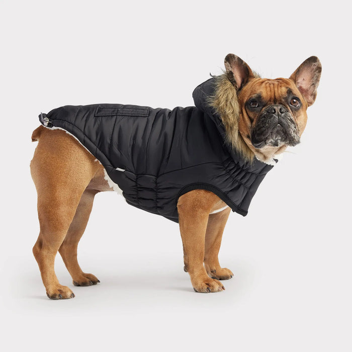GF Pet Urban Dog Parka, Black, 2XS