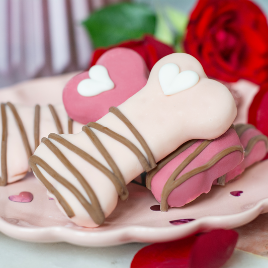 Bosco & Roxy's - Dipped Bone Valentine's Day Themed