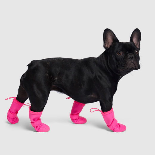 Canada Pooch Waterproof Dog Rain Boots, Pink, Size 2