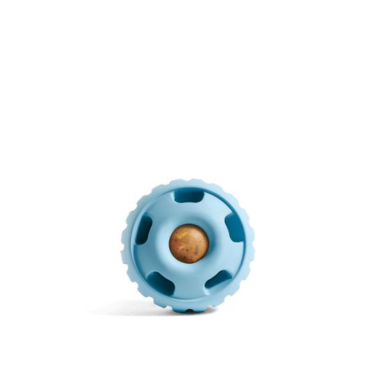 Woof - Pupsicle - Party Blue - XL