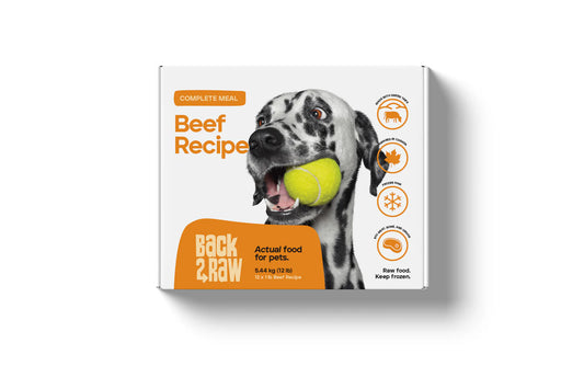 Back2Raw Complete Beef Recipe Frozen Dog Food, 12-lb
