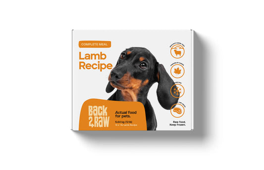 Back2Raw Complete Lamb Recipe Frozen Dog Food, 12-lb