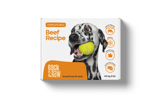 Back2Raw Complete Beef Recipe Frozen Dog Food, 4-lb
