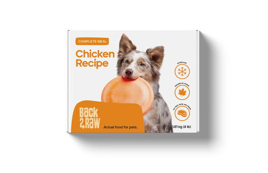 Back2Raw Complete Chicken Recipe Frozen Dog Food, 4-lb