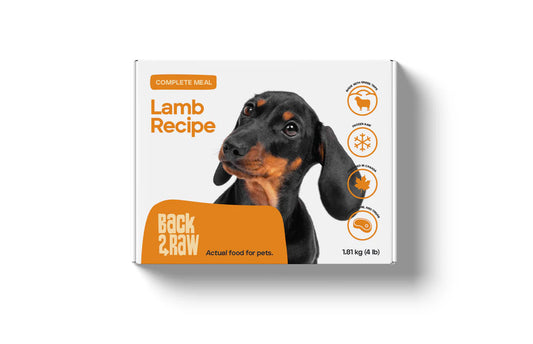 Back2Raw Complete Lamb Recipe Frozen Dog Food, 4-lb