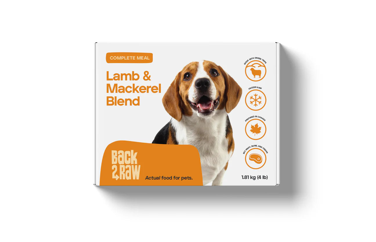 Back2Raw Complete Lamb & Mackerel Blend Frozen Dog Food, 4-lb