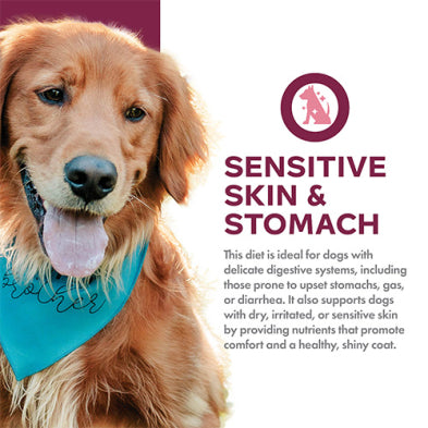 Fromm Nutritionals Sensitive Skin & Stomach Salmon & Whole Oats Recipe Dry Dog Food 4-lb