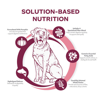 Fromm Nutritionals Sensitive Skin & Stomach Salmon & Whole Oats Recipe Dry Dog Food 4-lb