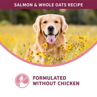 Fromm Nutritionals Sensitive Skin & Stomach Salmon & Whole Oats Recipe Dry Dog Food 4-lb