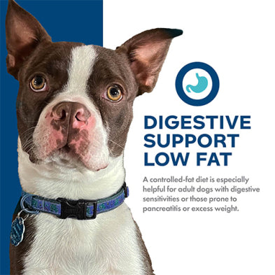Fromm Nutritionals Digestive Support Low Fat Chicken & Oatmeal Recipe Dry Dog Food 4-lb