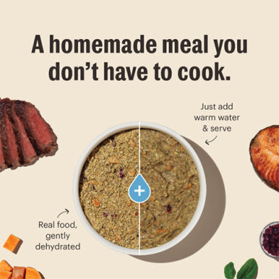 The Honest Kitchen Wholemade Whole Grain Beef Recipe Dog Food 2-lb