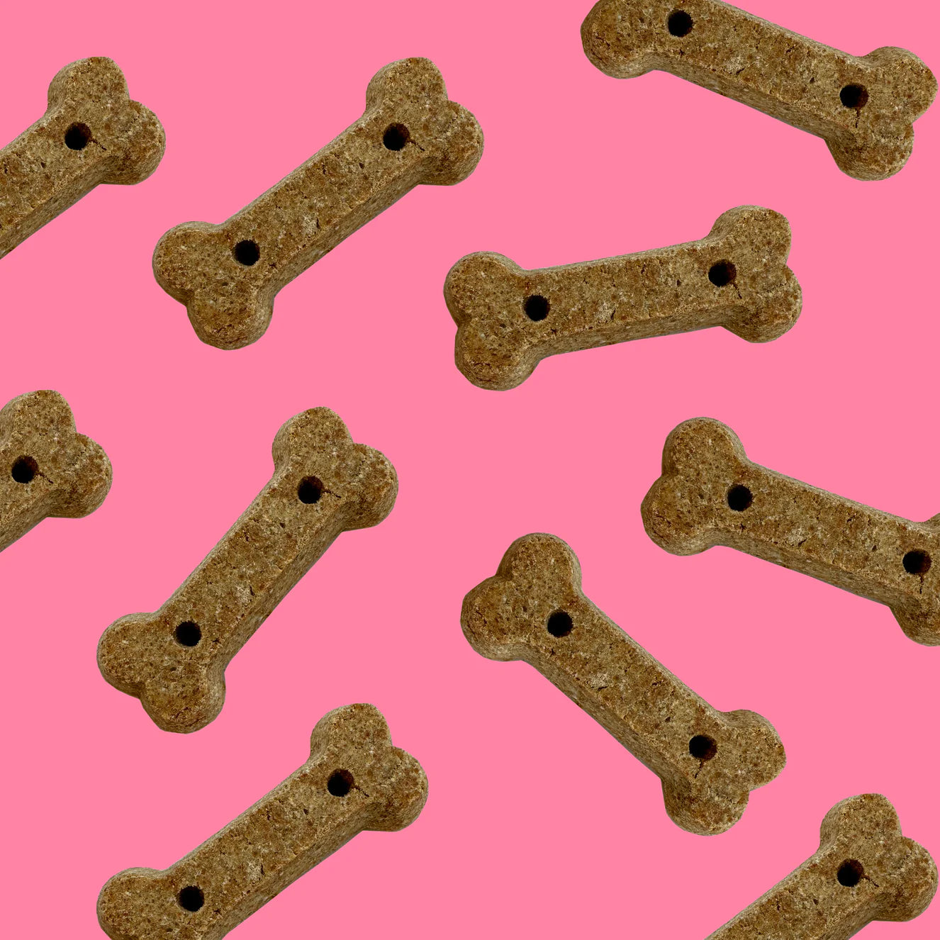 Project Hive™- Hive Peanut Butter Biscuits - 12oz