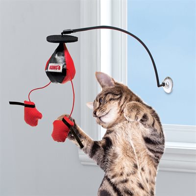 KONG for Cats Connects Window Boxing