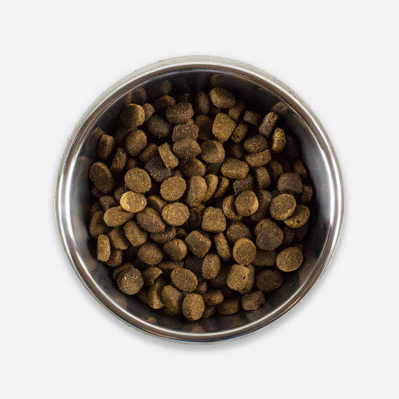 Be One Breed Concrete Bowl - Large