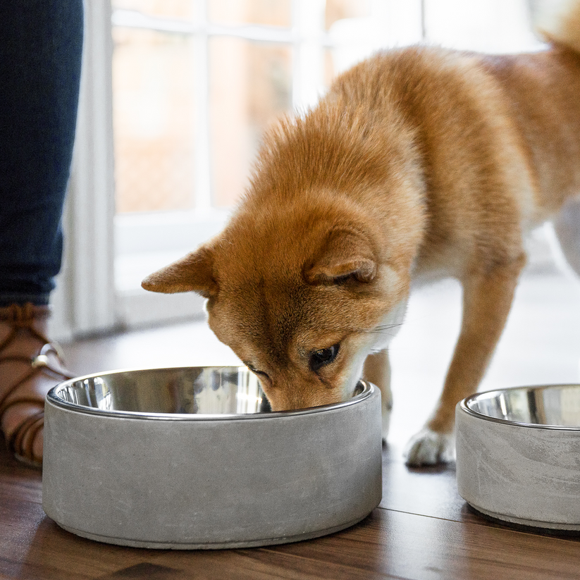 Be One Breed Concrete Bowl - Large