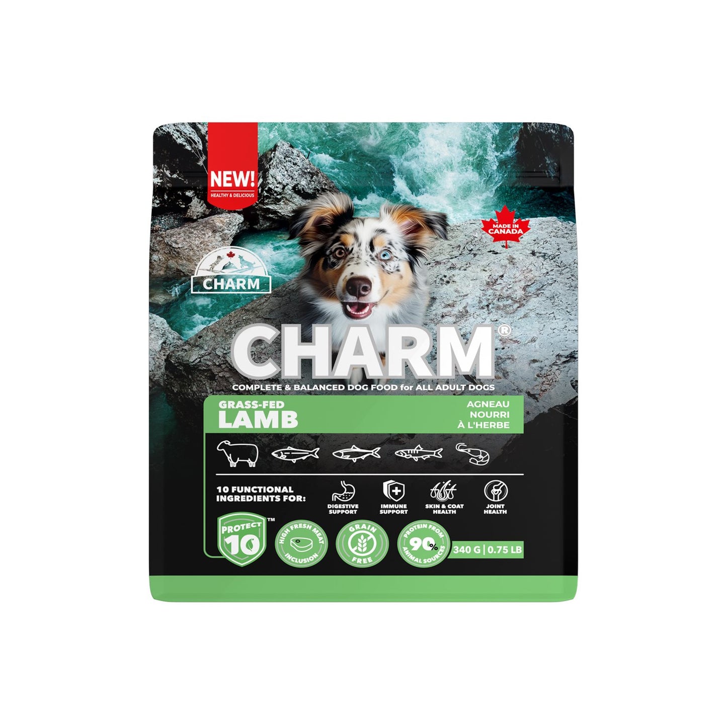 CHARM Grass-Fed Lamb Dog Food, 340-gr