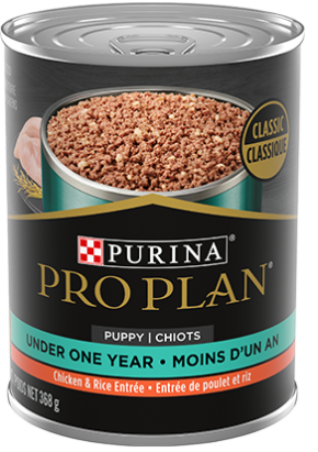 Purina Pro Plan Development Puppy Chicken and Rice Entree Pate Wet Dog Food 368-g Port Hope Ontario